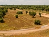 Camino Torres
