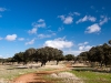 Camino Torres
