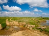 Camino Torres