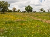 Camino Torres