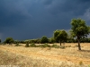 Camino Torres