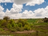Camino Torres