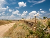 Camino Torres