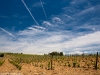 Camino Torres