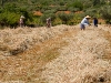 Camino Torres