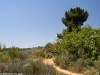 Camino Torres