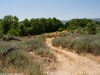 Camino Torres