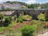 Camino Torres