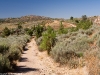 Camino Torres