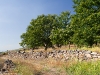 Camino Torres