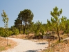 Camino Torres