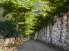 Camino Torres