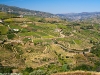 Camino Torres