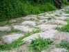 Camino Torres