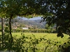 Camino Torres