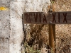 Camino Torres