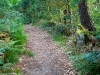 Camino Torres