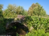 Camino Torres