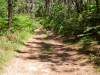 Camino Torres