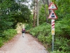 Camino Torres