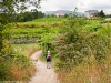 Camino Torres