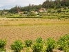 Camino Torres
