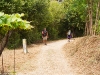 Camino Torres