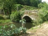 Camino Torres