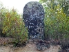 sampaio-55