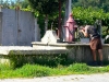 sampaio-244