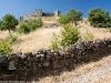 Camino Torres
